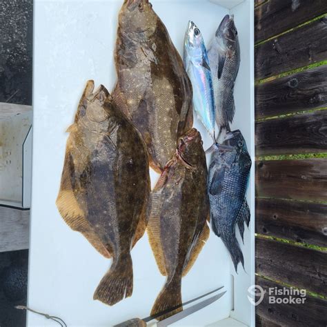 fishing report for delaware bay|Iba pa.